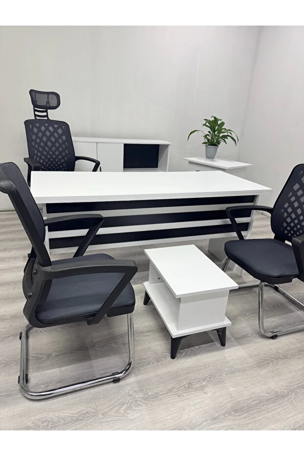 Esko Ofis Takımı - Sandalyeler Dahil (Beyaz Renk)